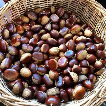 Da Maria Trevignano Romano
